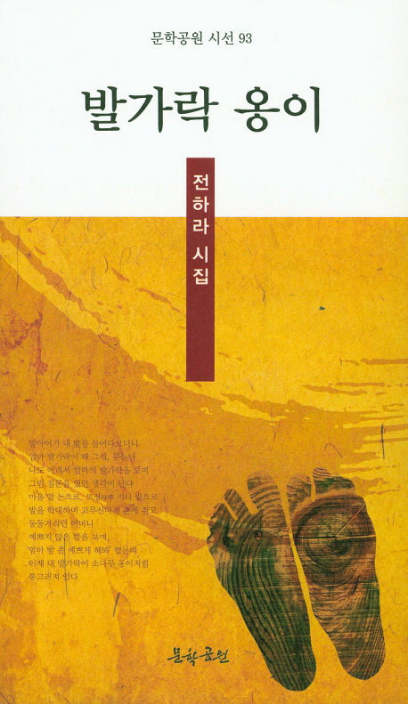 발가락 옹이(문학공원 시선 93)