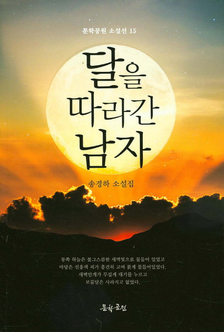 달을 따라간 남자(문학공원 소설선 15)