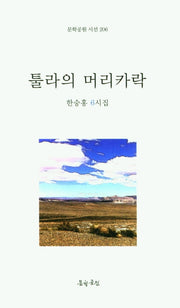 툴라의 머리카락(문학공원 시선 206)