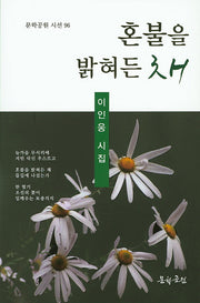 혼불을 밝혀든 채(문학공원 시선 96)