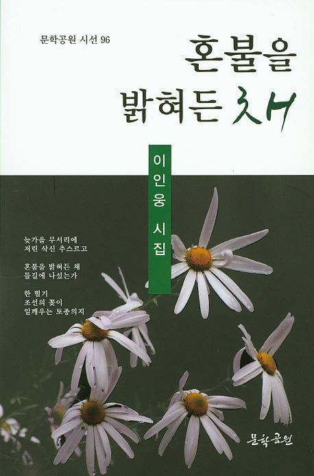 혼불을 밝혀든 채(문학공원 시선 96)