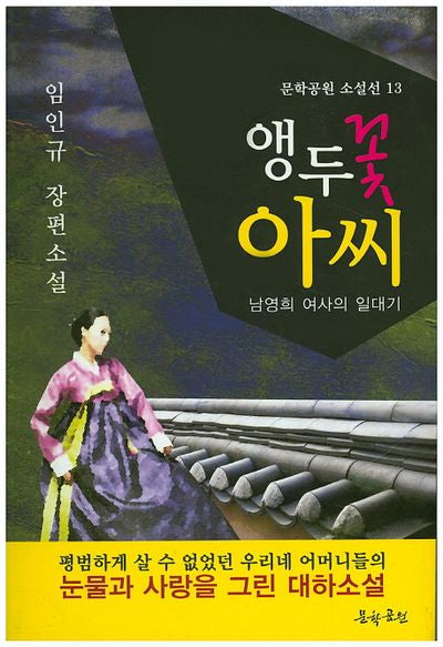 앵두꽃 아씨(문학공원 소설선 13)