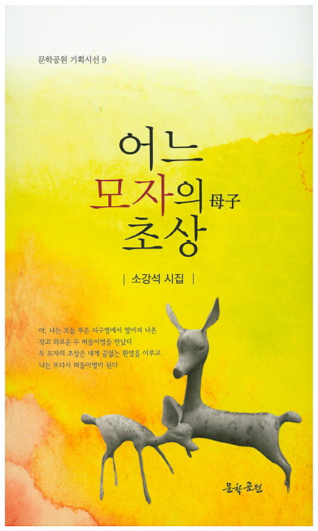 어느 모자의 초상(문학공원 기획시선 9)