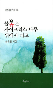 불꽃은 사이프러스 나무 위에서 피고(문학공원 시선 100)