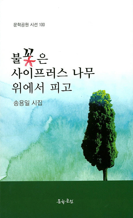불꽃은 사이프러스 나무 위에서 피고(문학공원 시선 100)
