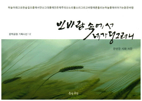 빈바람 속에서 네가 덩그러니(문학공원 기획시선 12)