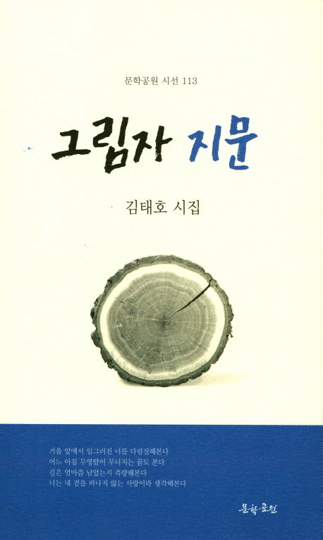 그림자 지문(문학공원 시선 113)