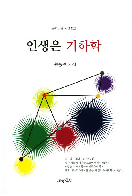 인생은 기하학(문학공원 시선 123)