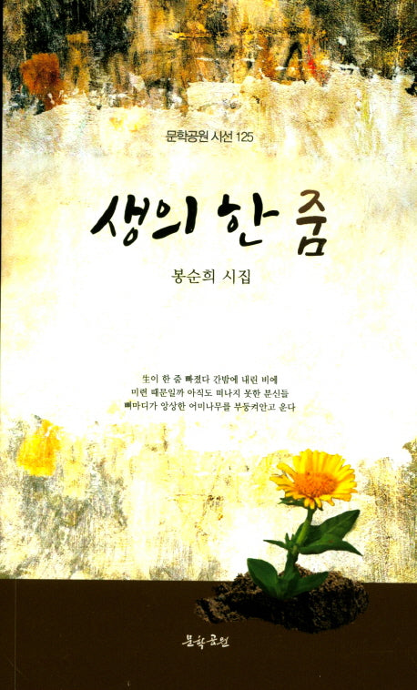 생의 한 줌(문학공원 시선 125)