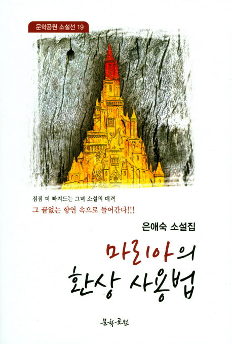 마리아의 환상 사용법(문학공원 소설선 19)
