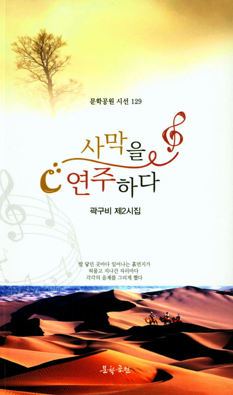 사막을 연주하다(문학공원 시선 129)