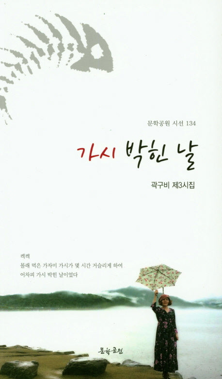 가시 박힌 날(문학공원 시선 134)