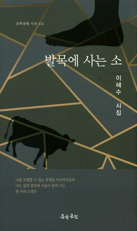발목에 사는 소(문학공원 시선 141)