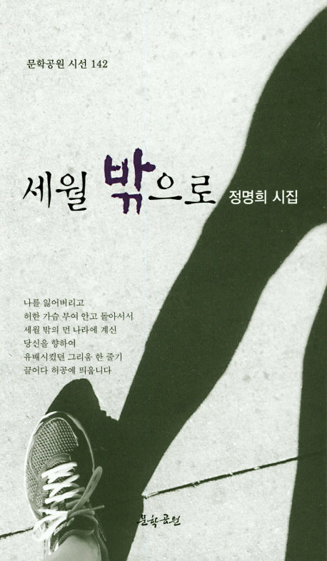 세월 밖으로(문학공원 시선 142)