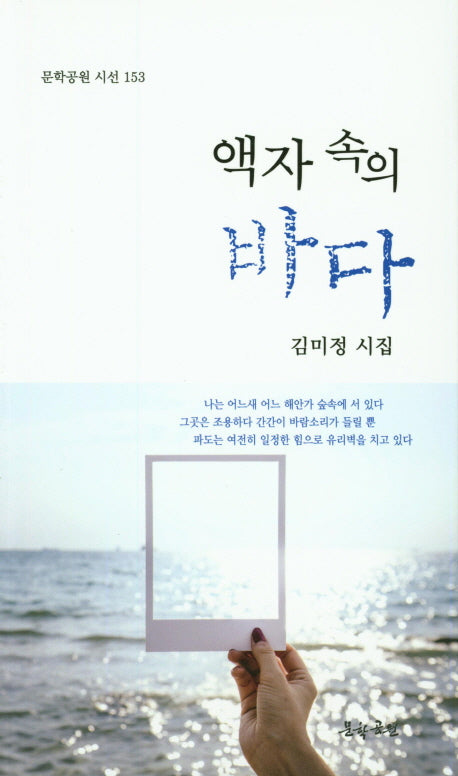 액자속의 바다(문학공원 시선 153)