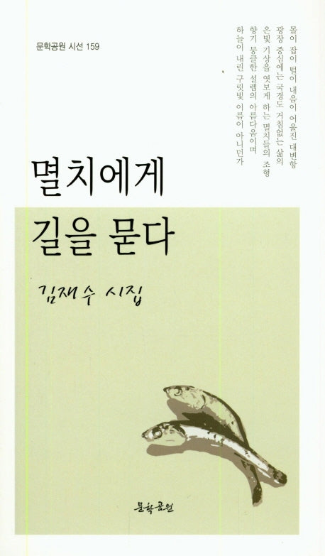 멸치에게 길을 묻다(문학공원시선 159)