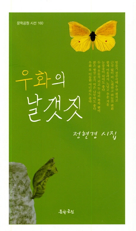 우화의 날갯짓(문학공원 시선 160)