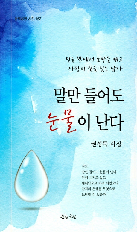 말만 들어도 눈물이 난다(문학공원 시선 162)