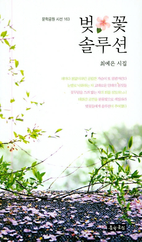 벚꽃 솔루션(문학공원 시선 163)