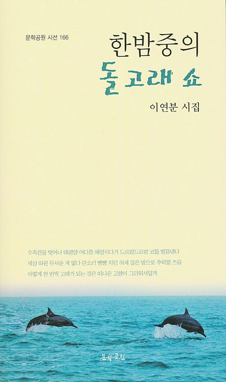 한밤중의 돌고래 쇼(문학공원 시선 166)