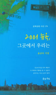 2001 뉴욕, 그곳에서 우리는(문학공원 시선 179)