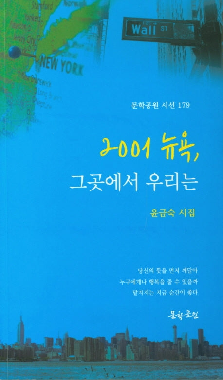 2001 뉴욕, 그곳에서 우리는(문학공원 시선 179)
