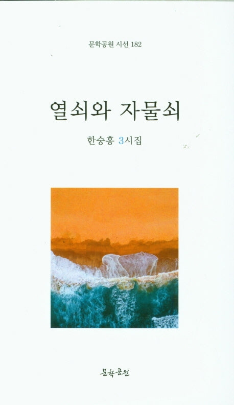 열쇠와 자물쇠(문학공원 시선 182)