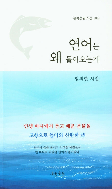 연어는 왜 돌아오는가(문학공원 시선 184)
