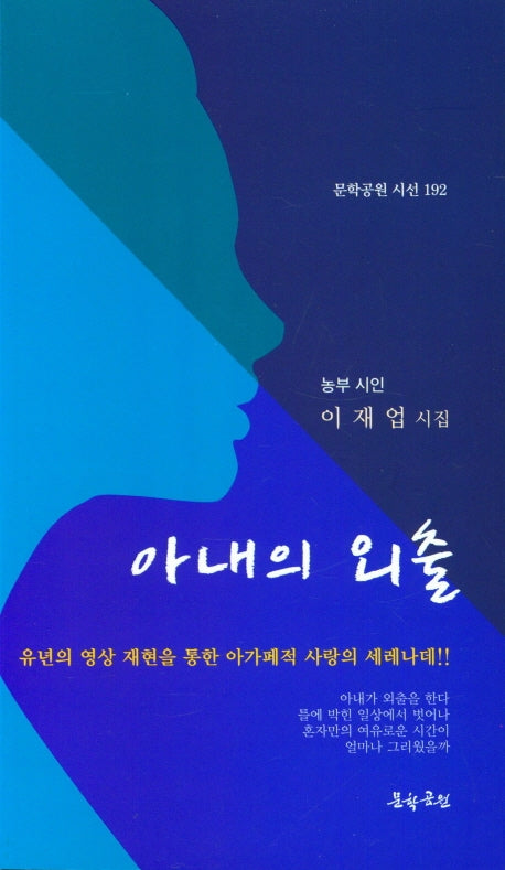 아내의 외출(문학공원 시선 192)