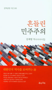흔들린 민주주의(문학공원 시선 193)