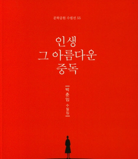 인생 그 아름다운 중독(문학공원 수필선 55)