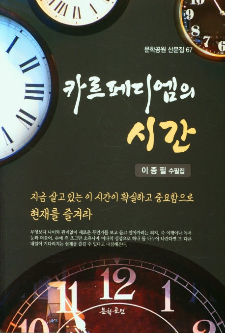 카르페디엠의 시간(문학공원 산문집 67)