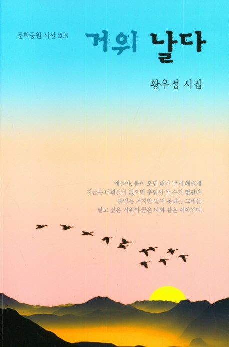 거위 날다(문학공원 시선 208)