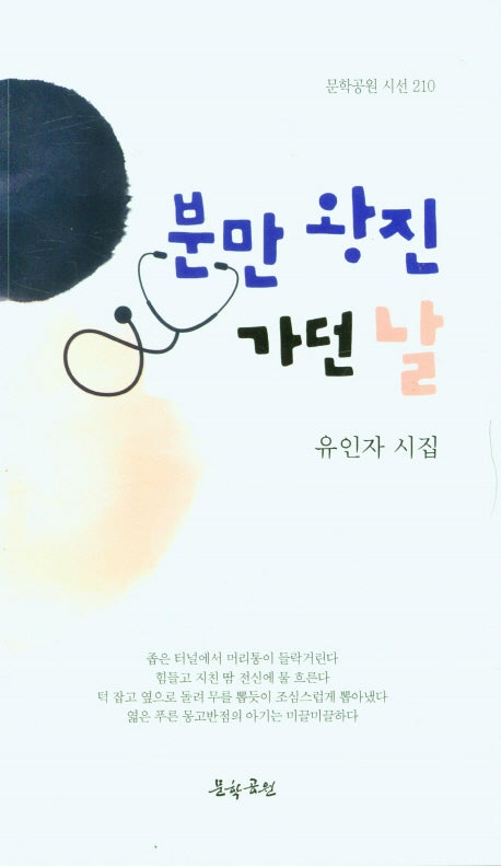 분만 왕진 가던 날(문학공원 시선 210)