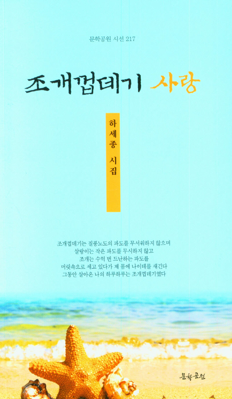 조개껍데기 사랑(문학공원 시선 217)
