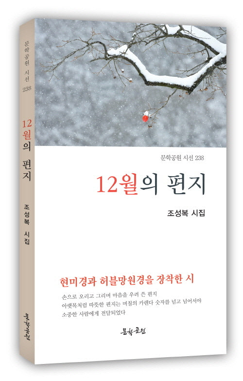 12월의 편지(문학공원 시선 238)