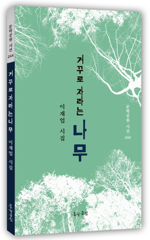거꾸로 자라는 나무(문학공원 시선 244)