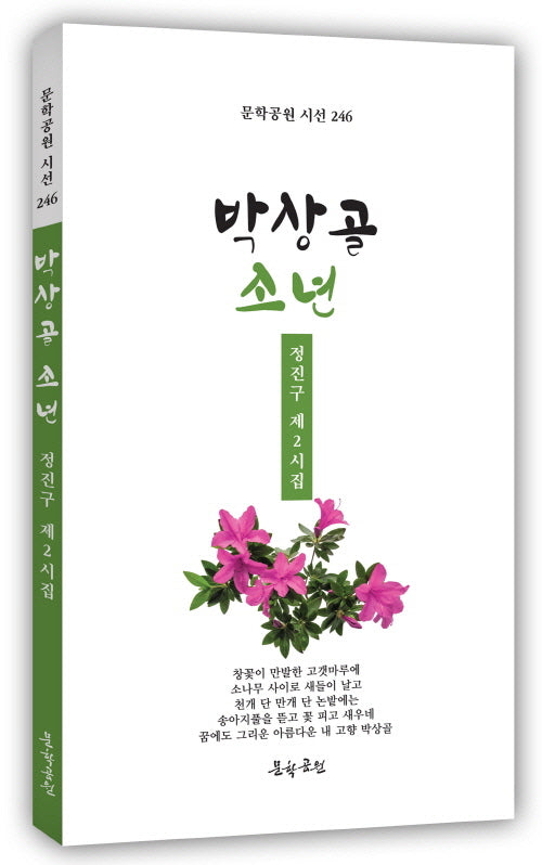 박상골 소년(문학공원 시선 246)