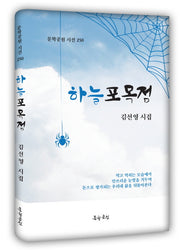 하늘포목점(문학공원 시선 250)(양장본 Hardcover)