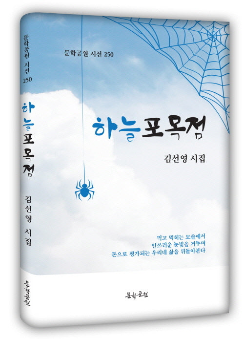 하늘포목점(문학공원 시선 250)(양장본 Hardcover)