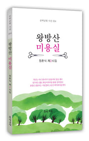왕방산 미용실(문학공원 시선 254)