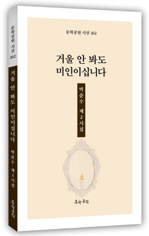 거울 안 봐도 미인이십니다(문학공원 시선 262)