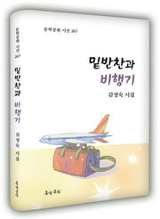 밑반찬과 비행기(문학공원 시선 267)
