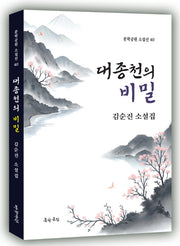 대종천의 비밀(문학공원 소설선 40)