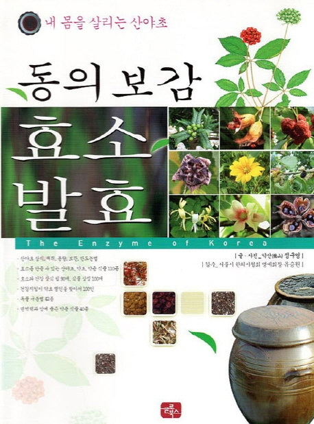 동의보감 효소 발효