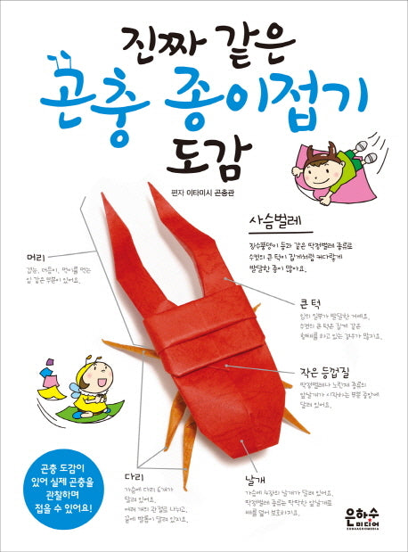 진짜 같은 곤충 종이접기 도감