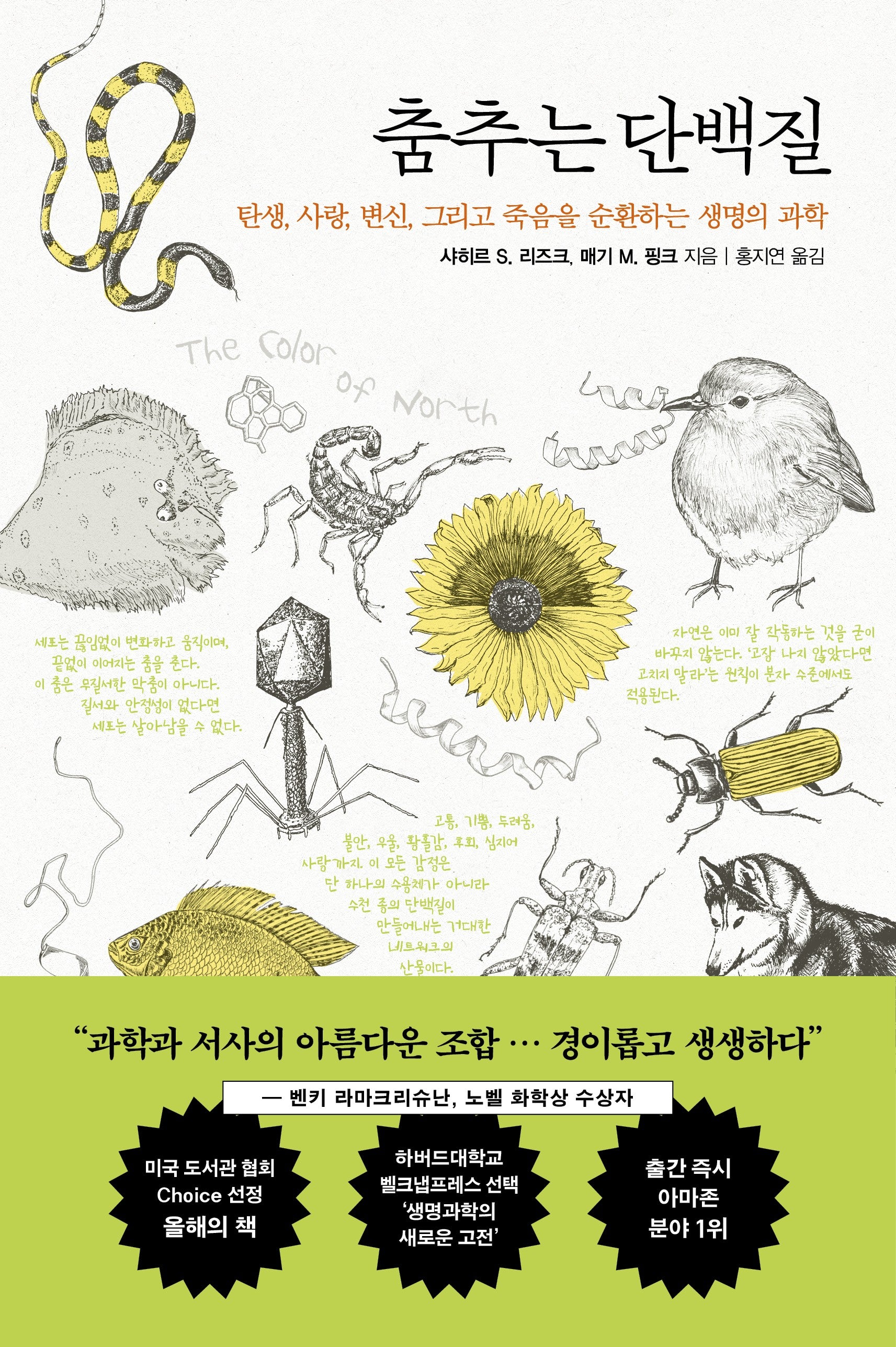 춤추는 단백질