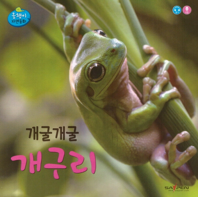개굴개굴 개구리(올챙이 자연동화)(보드북)
