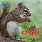 볼이 볼록 다람쥐(올챙이 자연동화)(보드북)