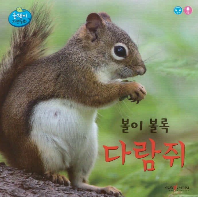 볼이 볼록 다람쥐(올챙이 자연동화)(보드북)
